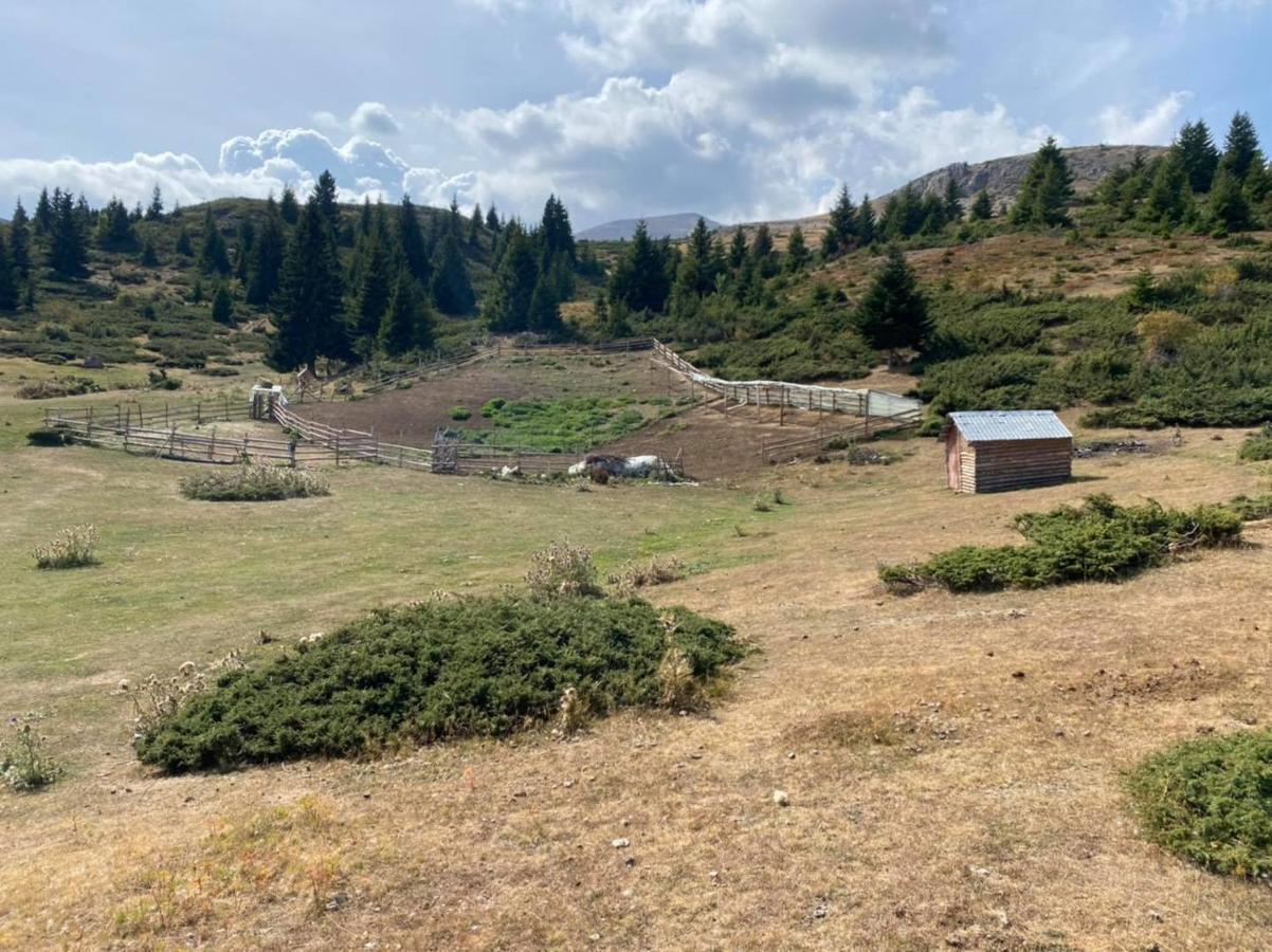 Villa 80 Kodra E Diellit Tetovo Eksteriør billede